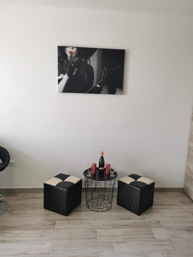 Studio Alina&Marius Bükreş Dış mekan fotoğraf